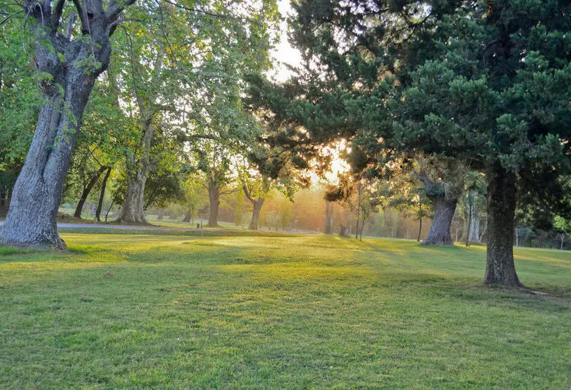 민박 Los Eucaliptus