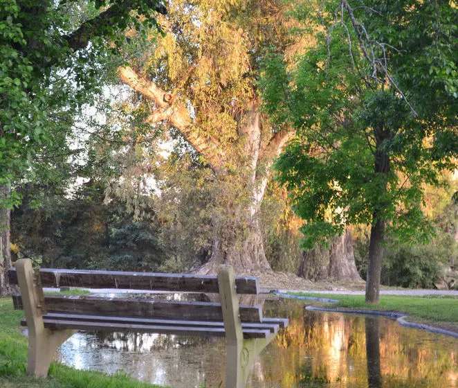 민박 Los Eucaliptus