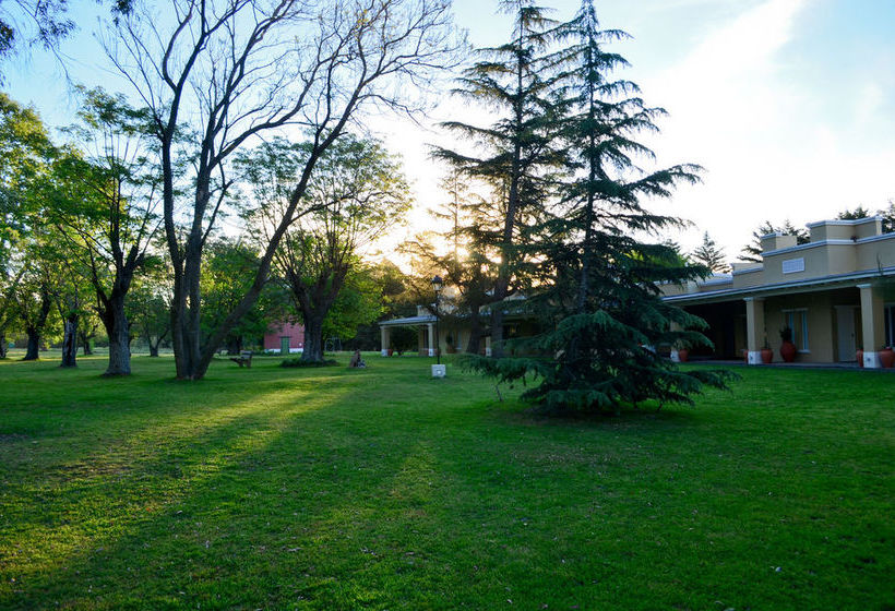 Bed & Breakfast Los Eucaliptus