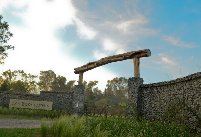 Bed & Breakfast Los Eucaliptus