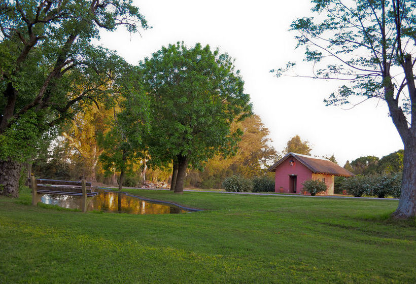 Bed & Breakfast Los Eucaliptus