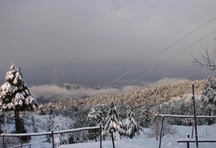 호텔 Blusalzz Escapade Anant Rasa