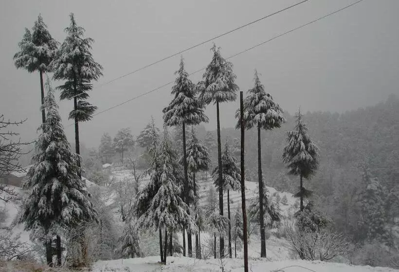 Otel Blusalzz Escapade Anant Rasa