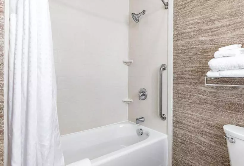 Отель Holiday Inn Express & Suites New Martinsville, An Ihg