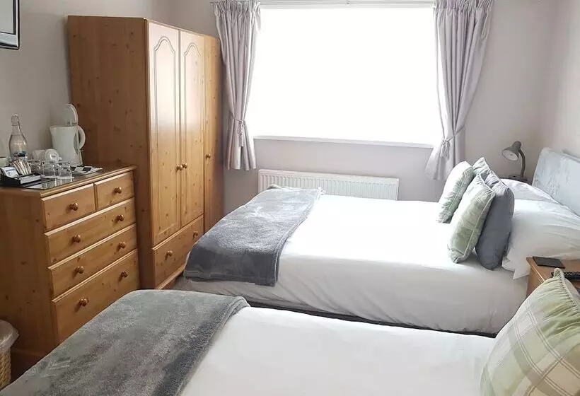 酒店 Swandale Guest House