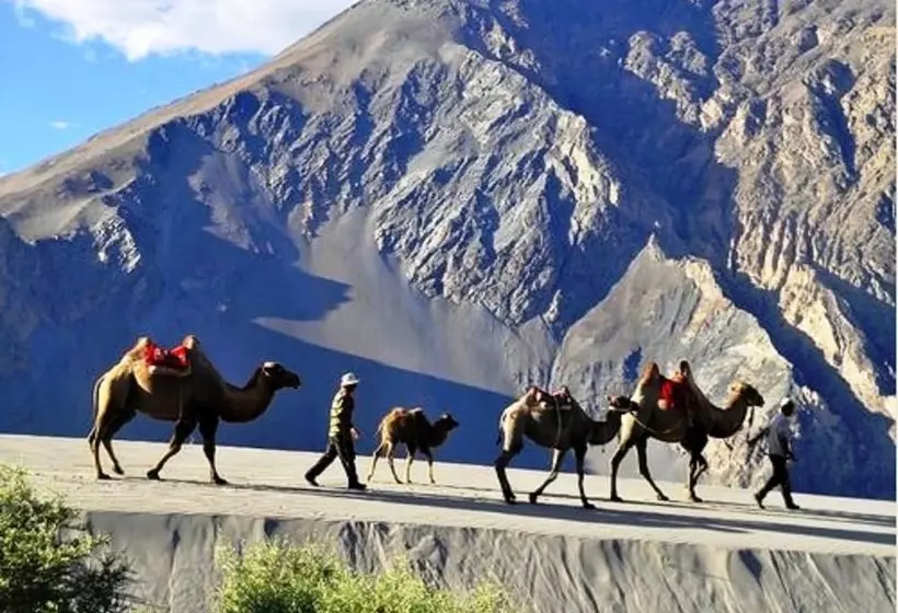 ホテル Tih Cold Desert Camp