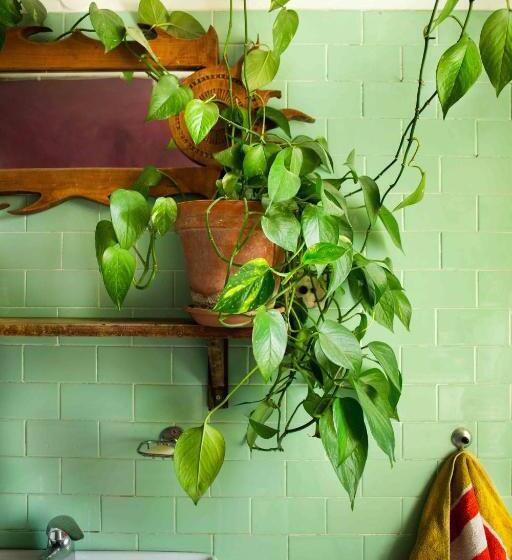 민박 Cà Colmello Country House