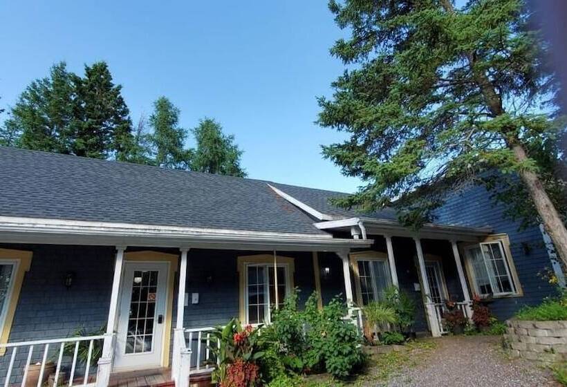 בית מלון כפרי Hôtel Fleurs Karaïbes