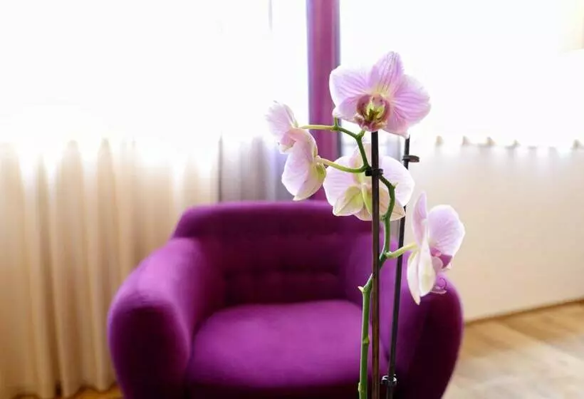 Majatalo Brandmayerhof