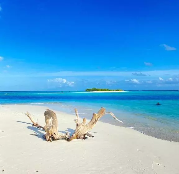 پانسیون Mathiveri Beach View