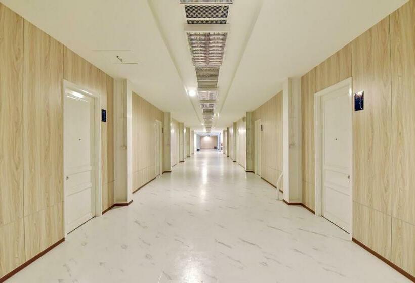 97 Merryland Apartments &