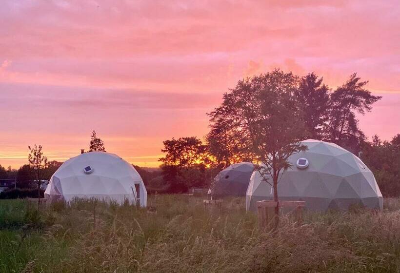 Bed and Breakfast 7 Sources