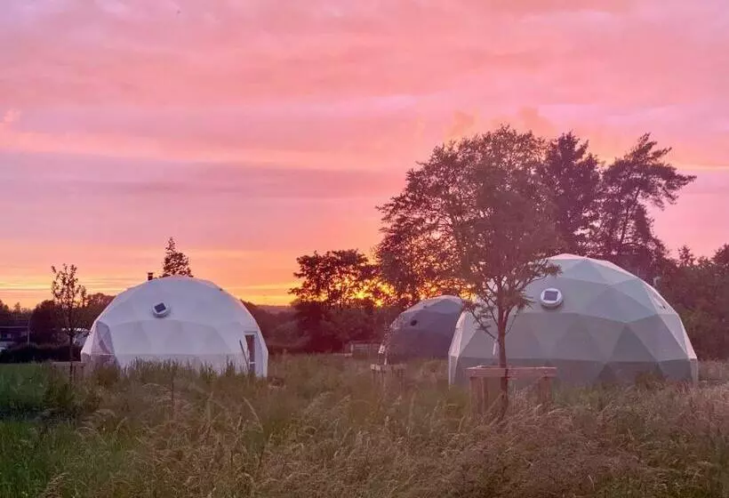 Bed and Breakfast 7 Sources