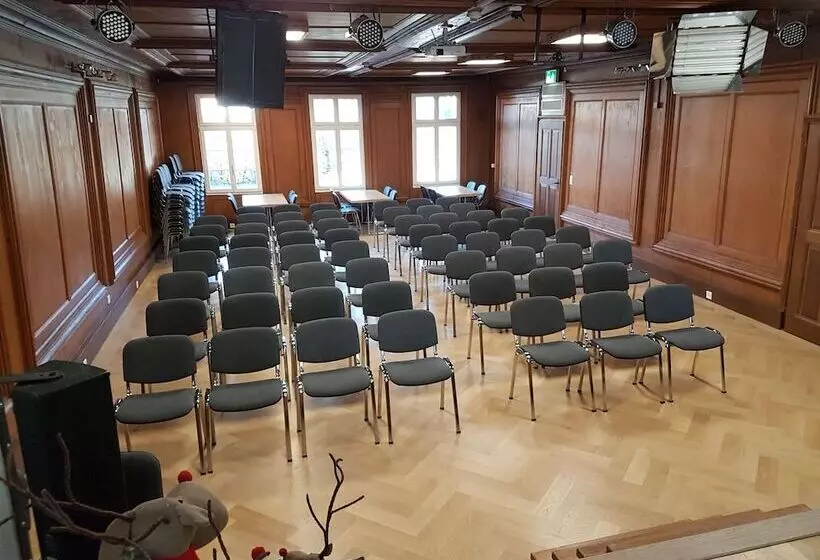 ホテル Ochsen Rapperswil/be