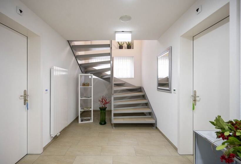 酒店 Ochsen Rapperswil/be