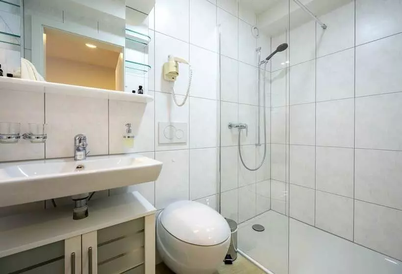 ホテル Ochsen Rapperswil/be