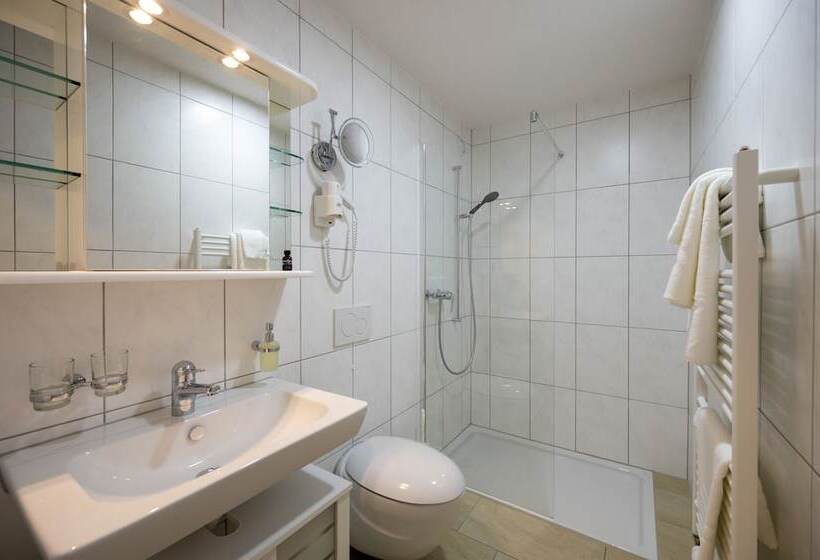 酒店 Ochsen Rapperswil/be