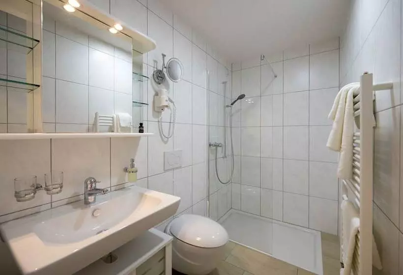 ホテル Ochsen Rapperswil/be