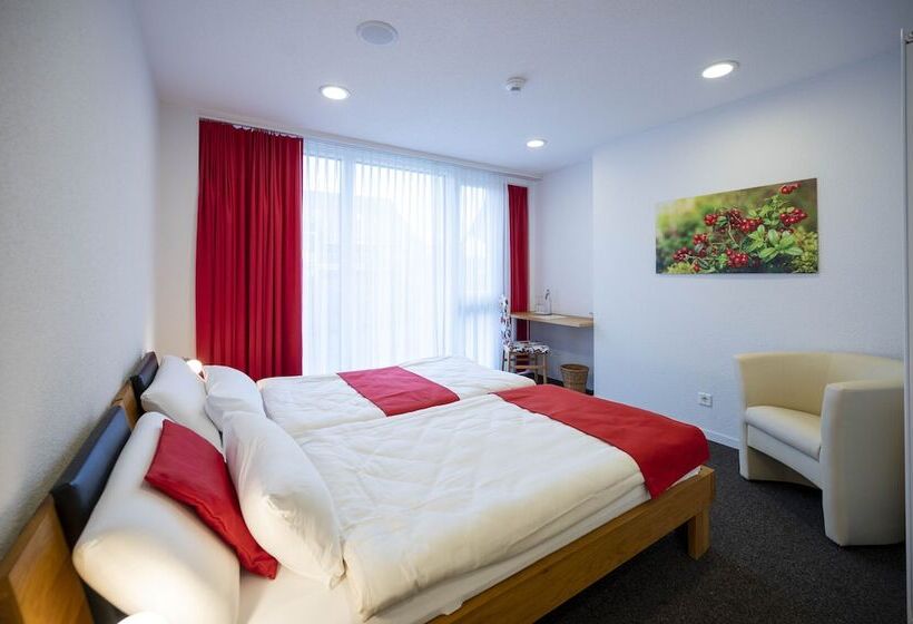 酒店 Ochsen Rapperswil/be