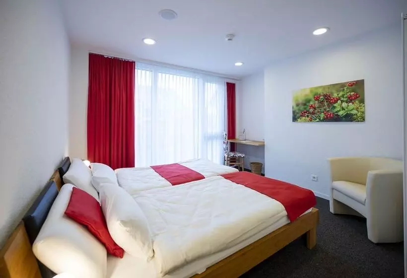 ホテル Ochsen Rapperswil/be