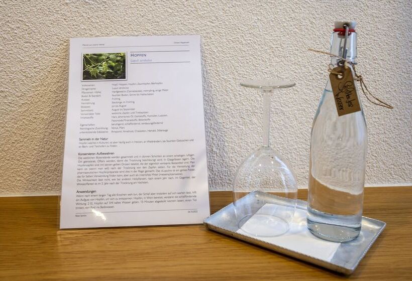 酒店 Ochsen Rapperswil/be