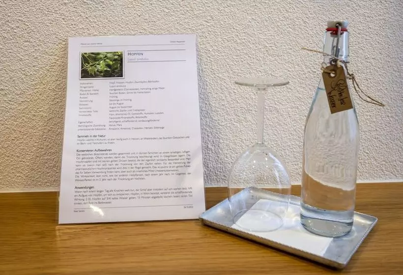 ホテル Ochsen Rapperswil/be