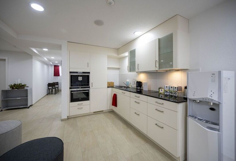 酒店 Ochsen Rapperswil/be