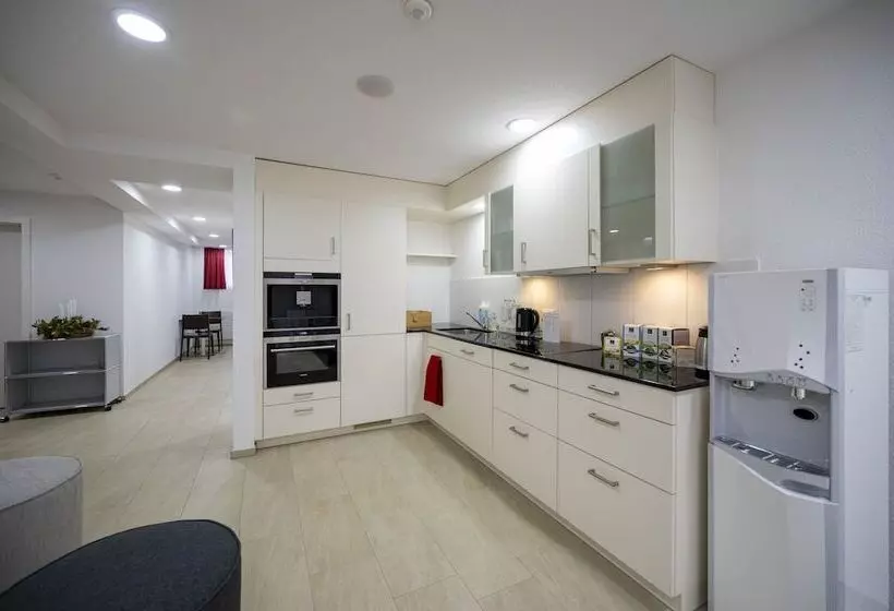 ホテル Ochsen Rapperswil/be