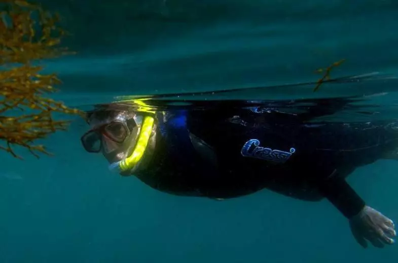 ペンション Casa Da Rosa