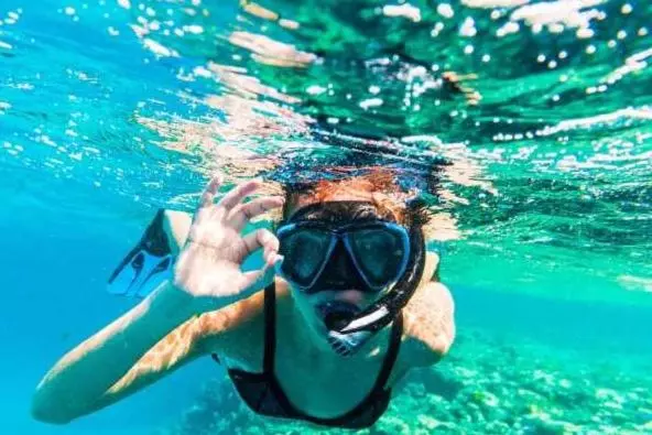 ペンション Casa Da Rosa