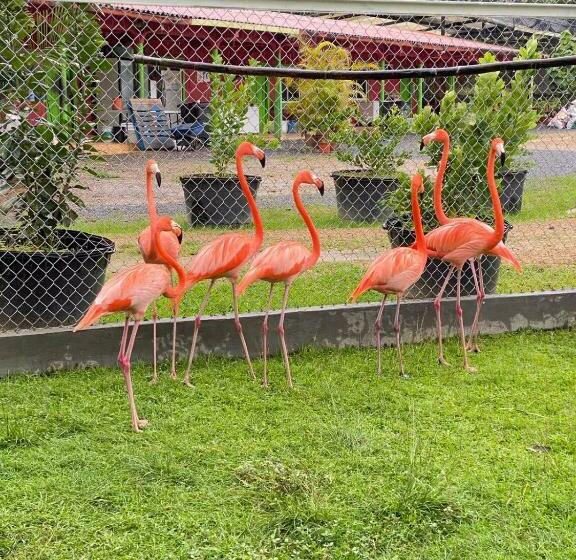 פנסיון Nature Villa