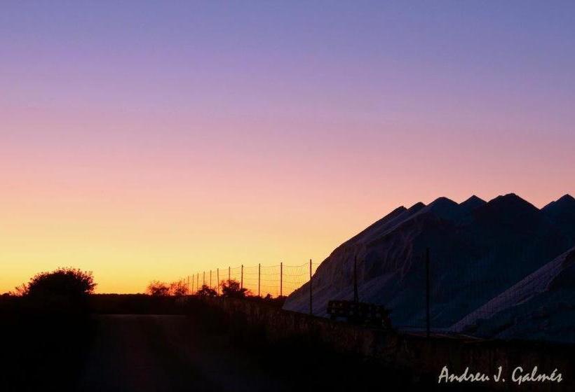 Apartamentos Piza   Grupo Berna