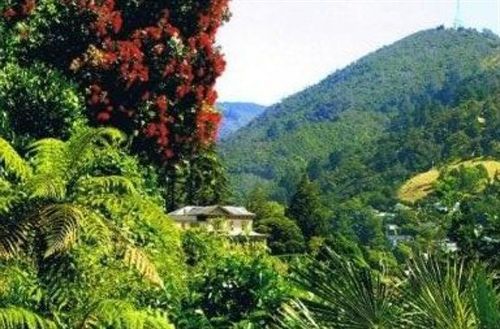 住宿加早餐  A Woodsy House