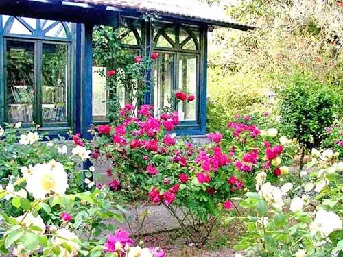 Bed and Breakfast La Gallina Felice