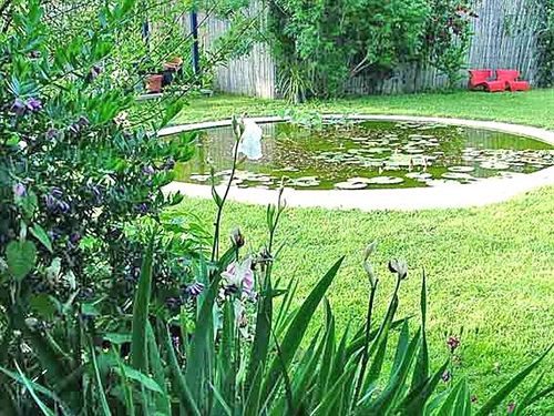 مبيت وإفطار La Gallina Felice