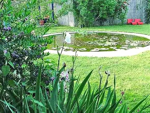 Bed and Breakfast La Gallina Felice