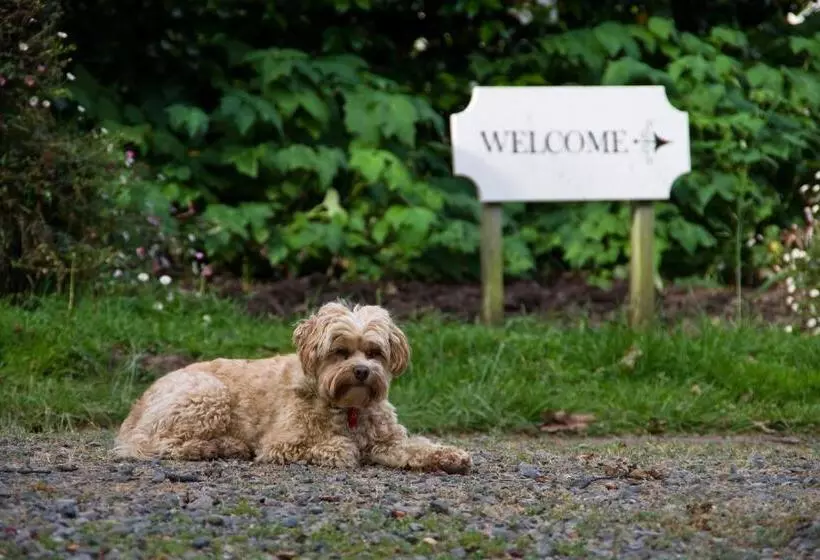مبيت وإفطار Ugbrooke Country Estate
