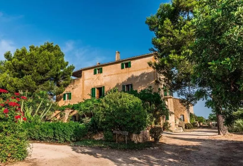 Finca Rural Son Amer