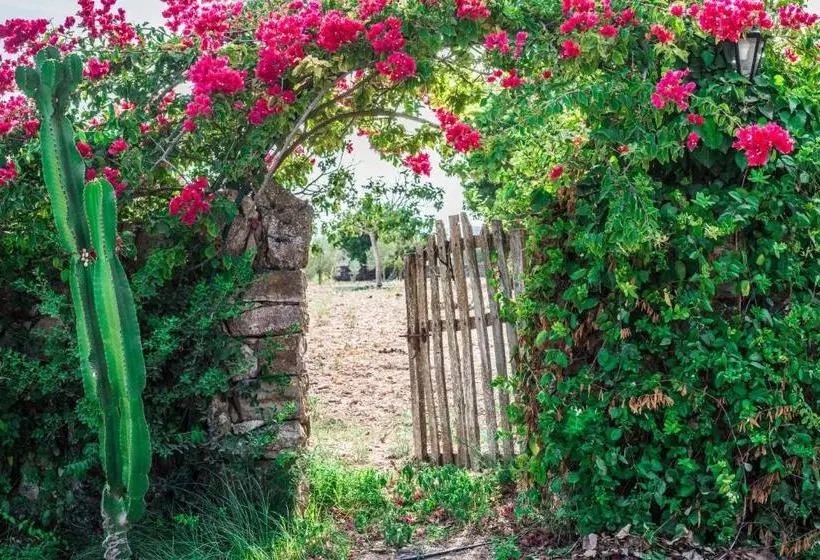 Finca Rural Son Amer