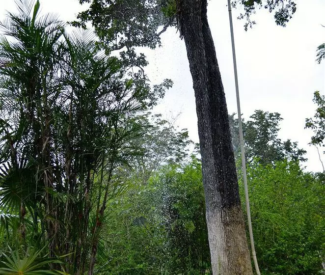 ホテル Casa Cenote Popol Vuh