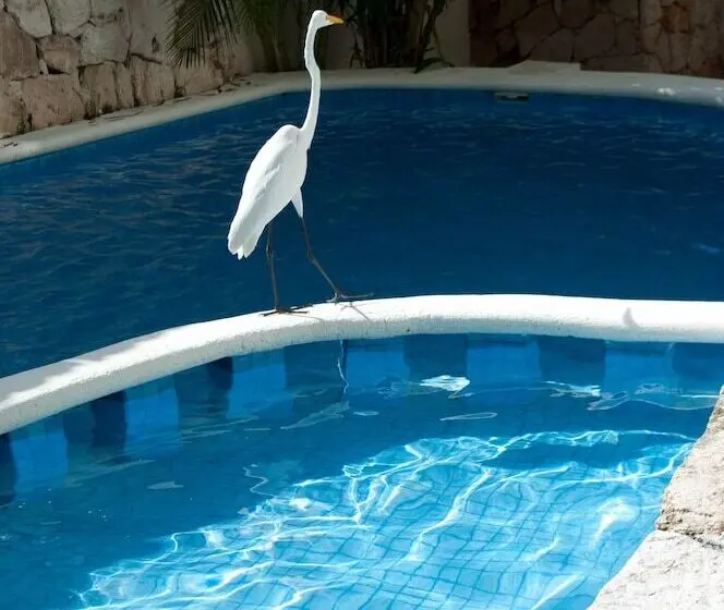 ホテル Casa El Moro