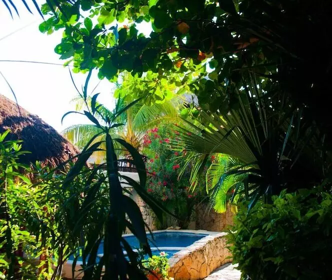 فندق Casa El Moro