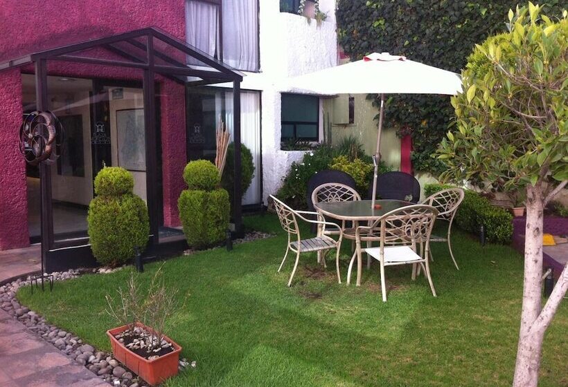 فندق Plaza Morelos