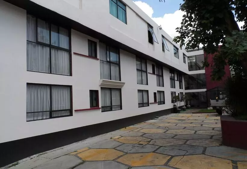 Отель Plaza Morelos