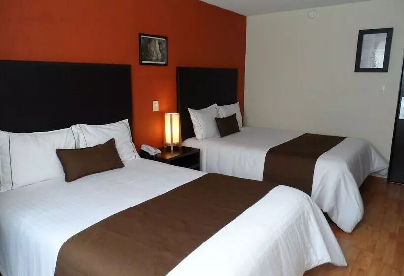 Отель Plaza Morelos