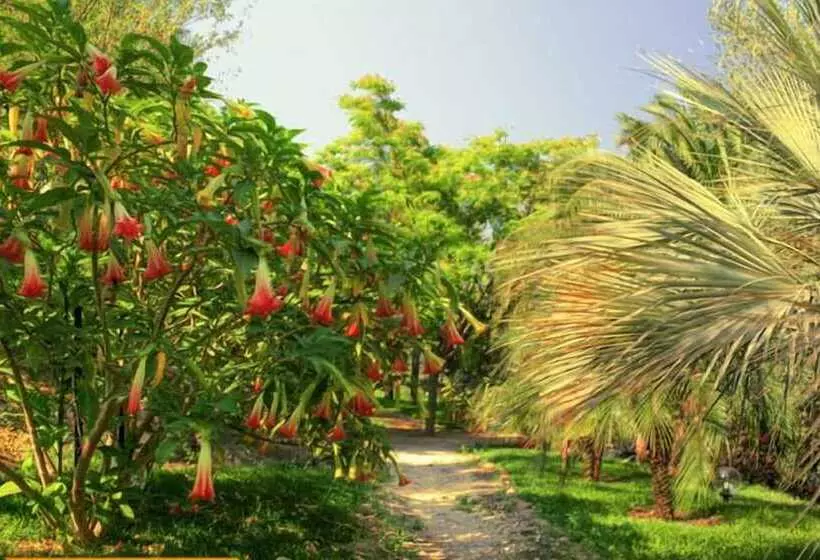 בית מלון כפרי Agriturismo Roccadia