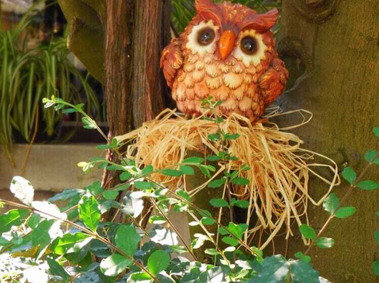 فندق Fiori D Arancio