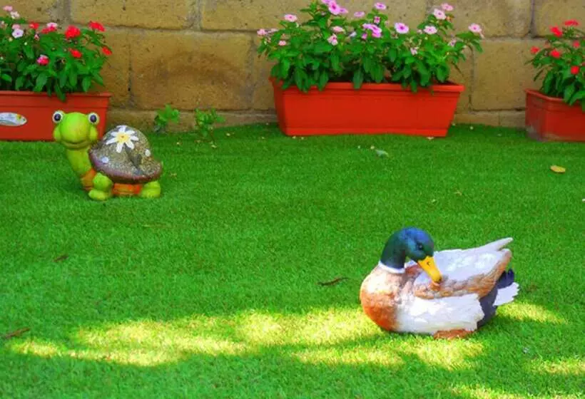 Отель Fiori D Arancio