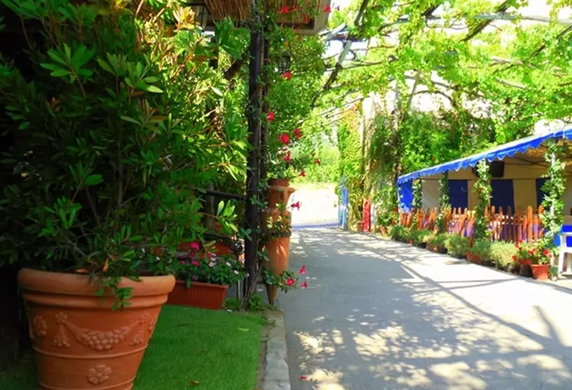 Отель Fiori D Arancio