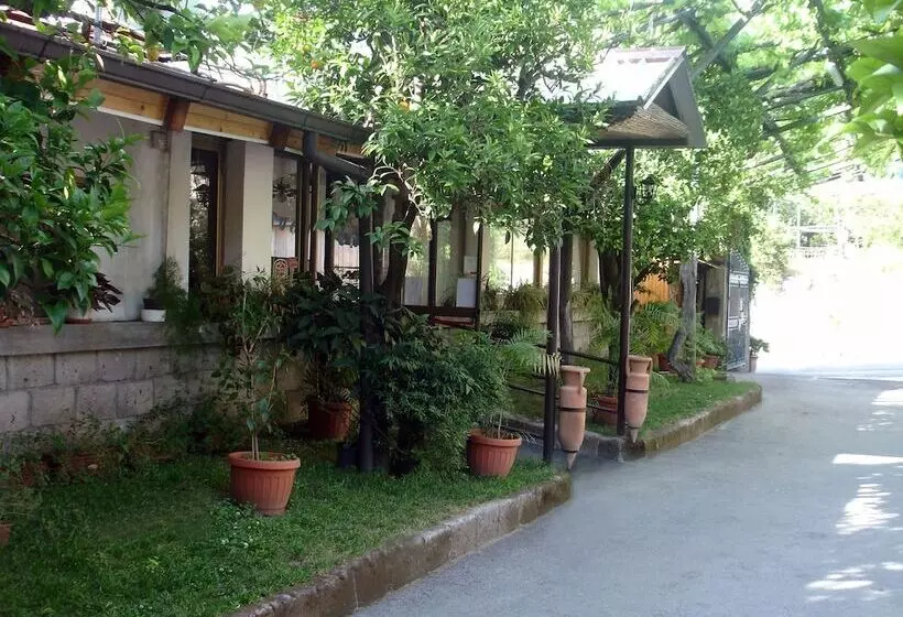 Отель Fiori D Arancio